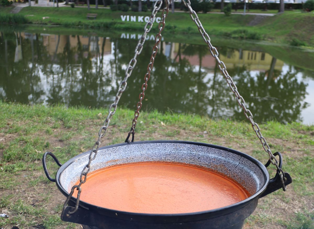 fišijada u vinkovcima