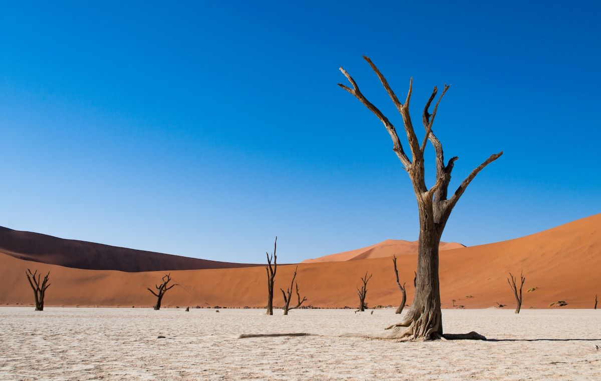 Afrika - Namib Naukluft - zapadna Namibija