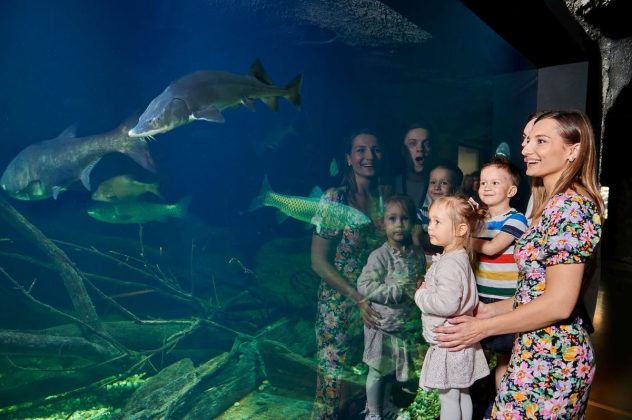 sedmi rođendan aquatika