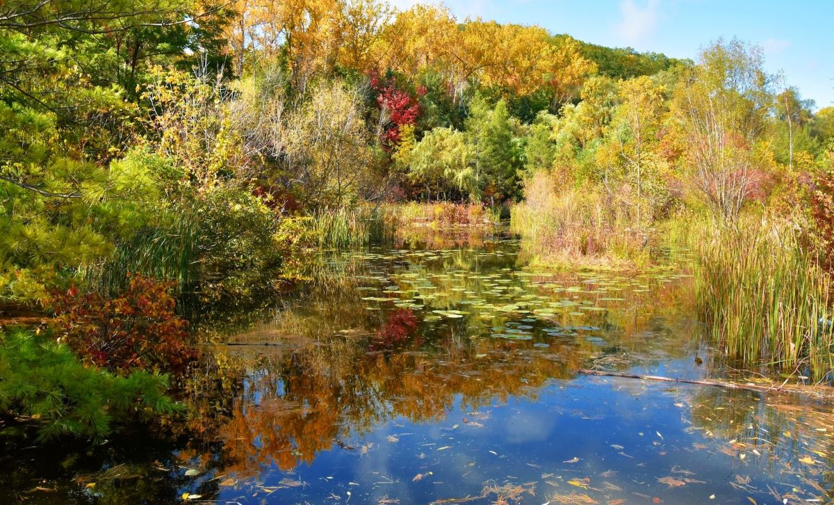 Toronto, Kanada, Evergreen Brick Works