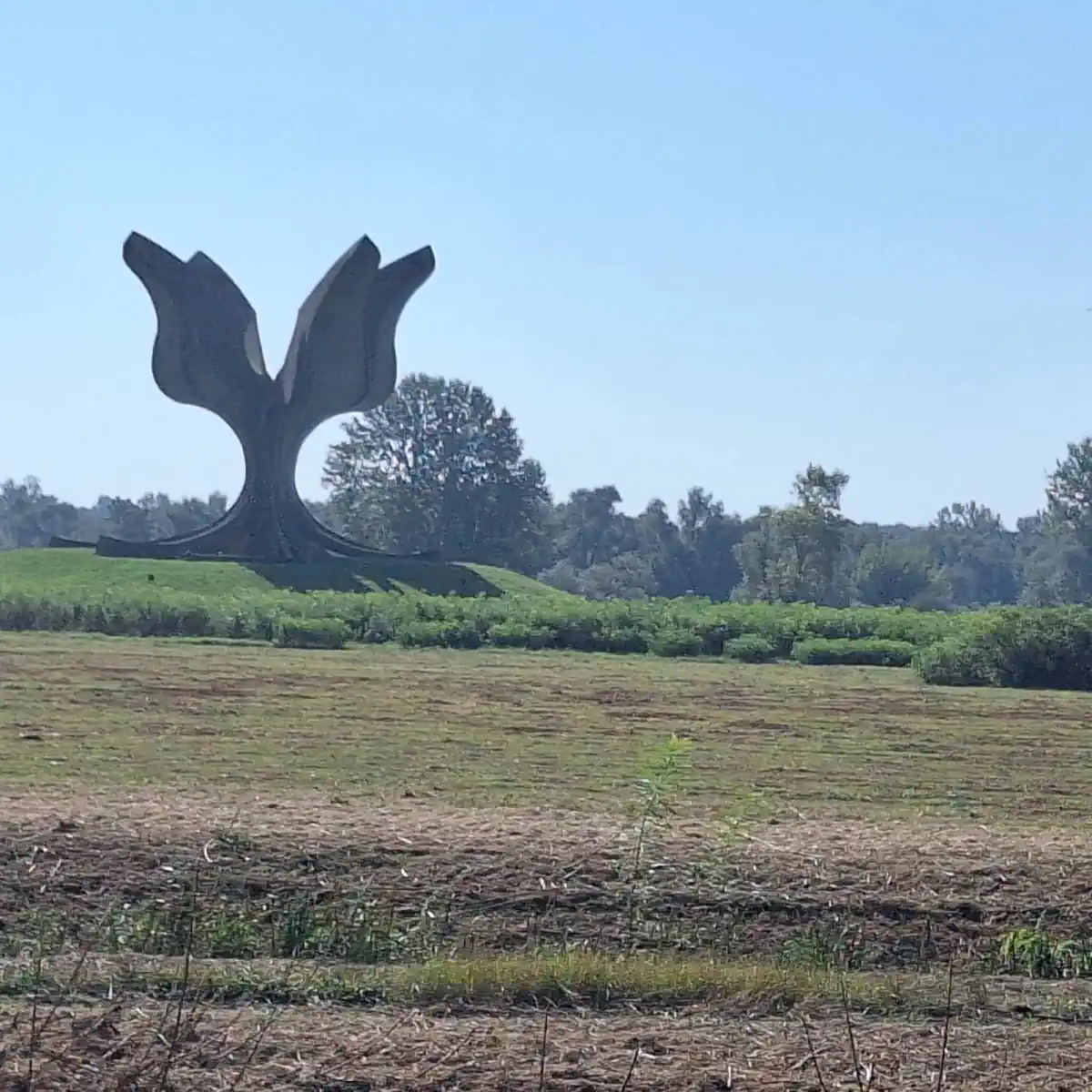 jasenovac