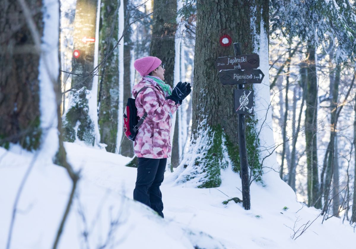 Gorski kotar, ture Lynx and fox