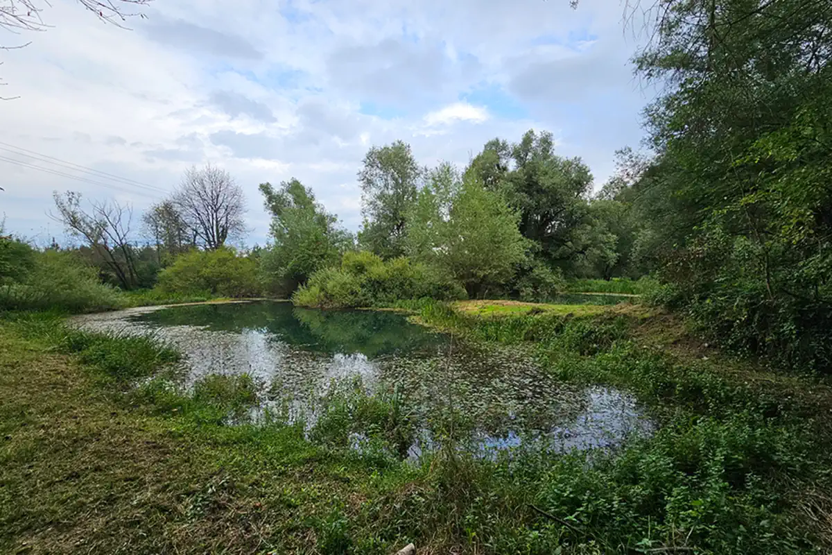 jezero sinjac