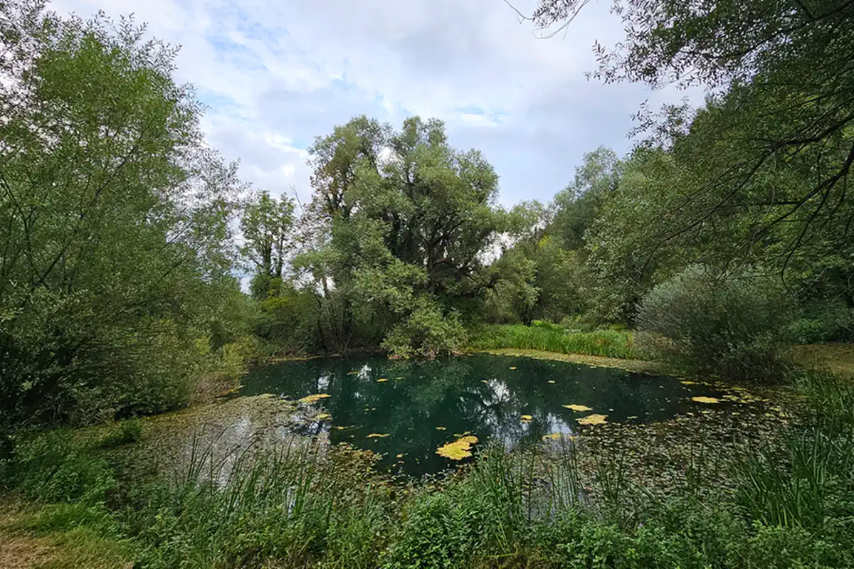 jezero sinjac