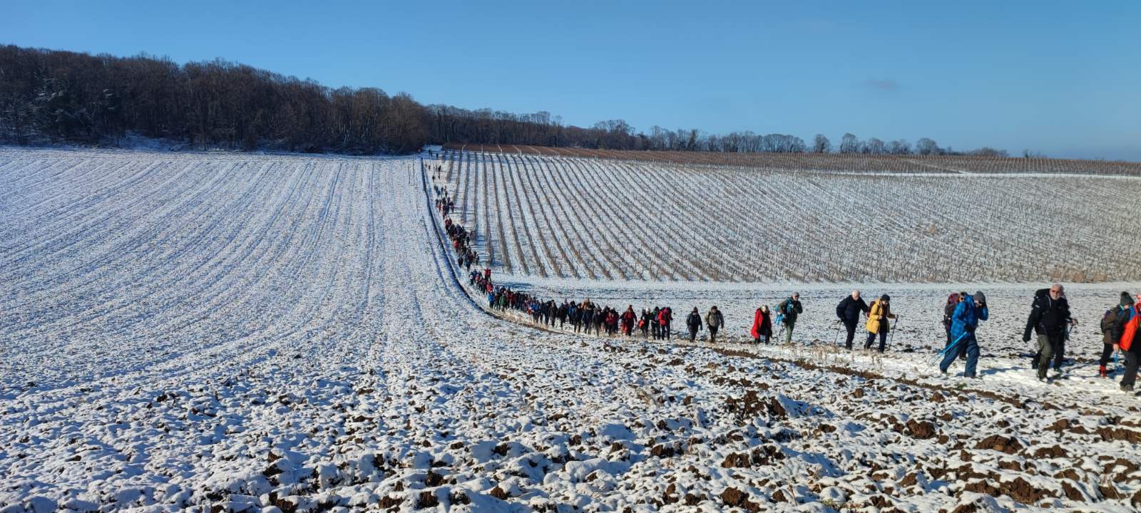 Planinarenje Ilok, Vinkovo Ilok,