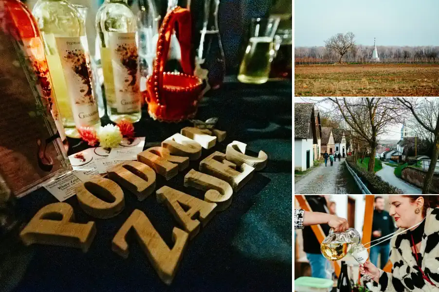 Winter Wine Walk Baranja
