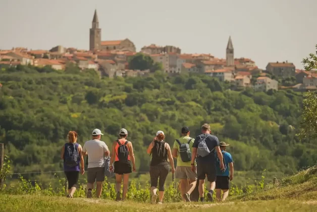 Istria Wine & Walk