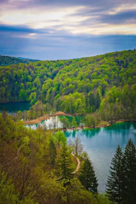Gornja jezera