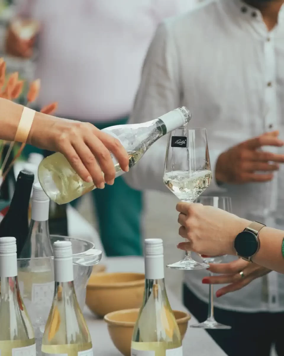 vino baranja