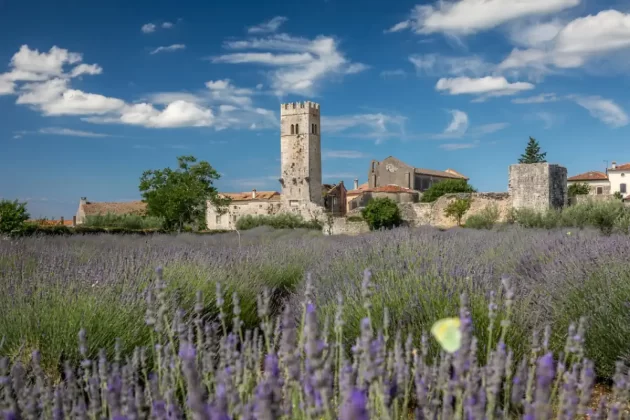 sveti lovreč