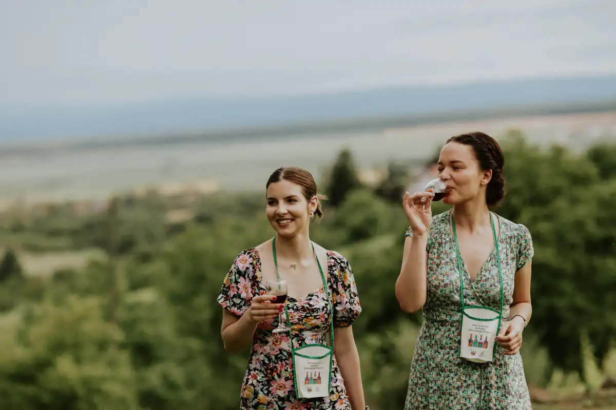 đakovačko vinogorje