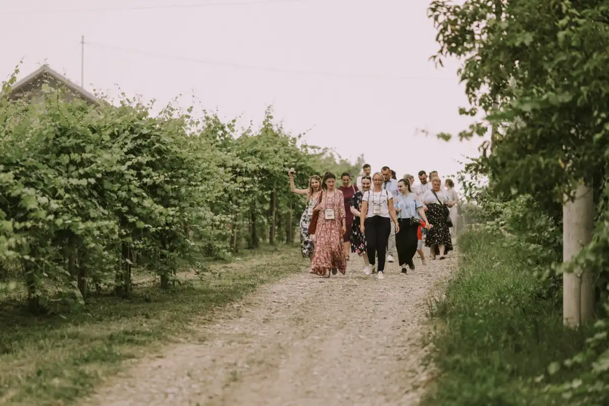 đakovačko vinogorje