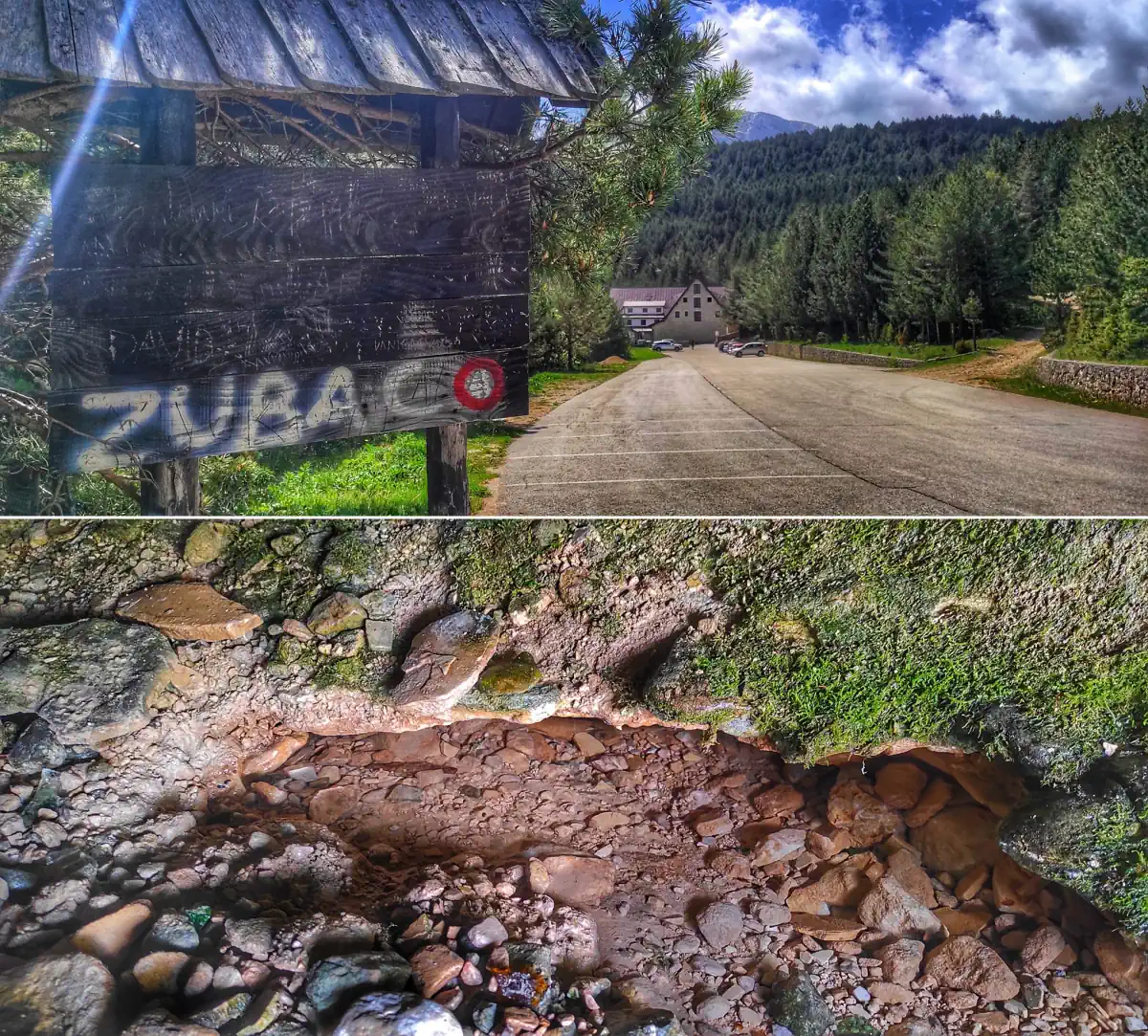 hercegovina blidinje zubac