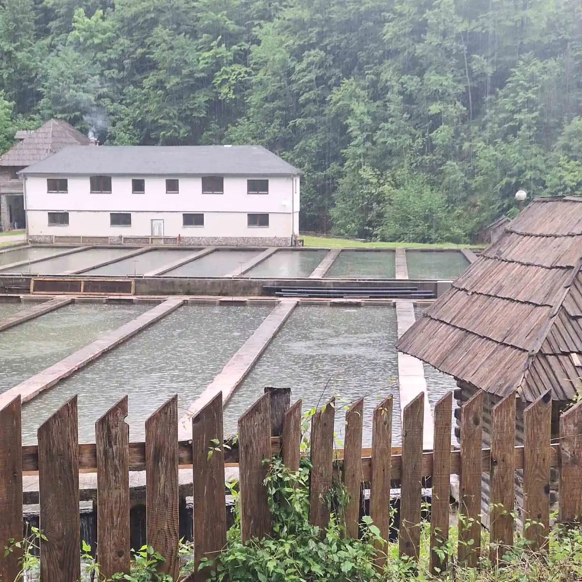 ribnjak bih