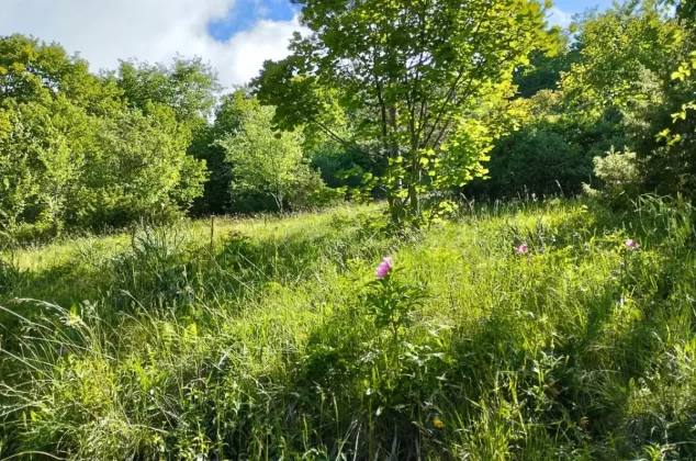 blanka kufner - učka - &scaron;etnja