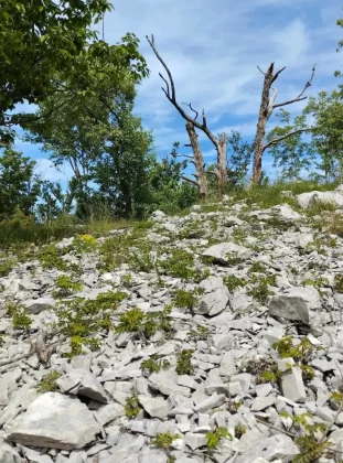 blanka kufner - učka - &scaron;etnja