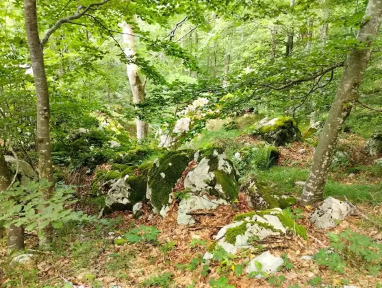 blanka kufner - učka - &scaron;etnja