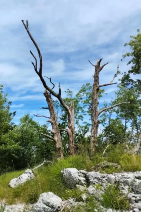 blanka kufner - učka - &scaron;etnja