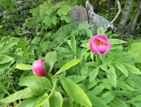 blanka kufner - učka - &scaron;etnja