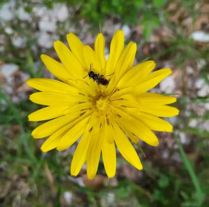 blanka kufner - učka - &scaron;etnja