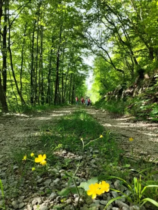 blanka kufner - učka - &scaron;etnja