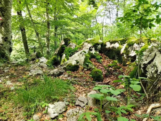 blanka kufner - učka - &scaron;etnja