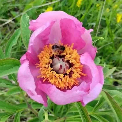 blanka kufner - učka - &scaron;etnja