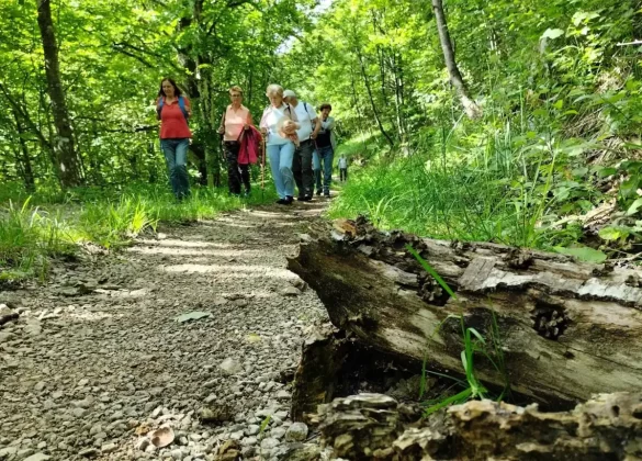 blanka kufner - učka - &scaron;etnja