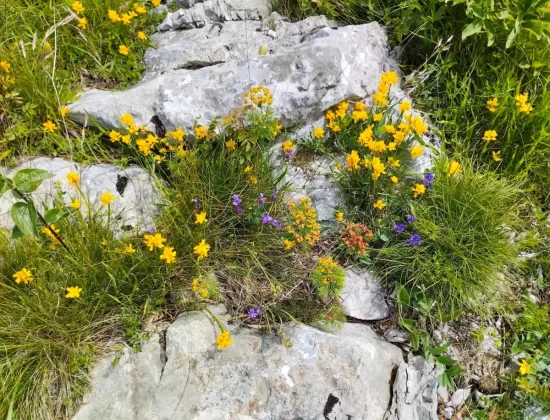 blanka kufner - učka - &scaron;etnja