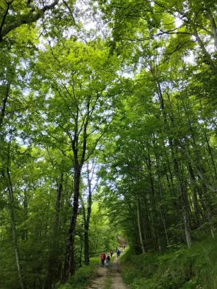 blanka kufner - učka - &scaron;etnja