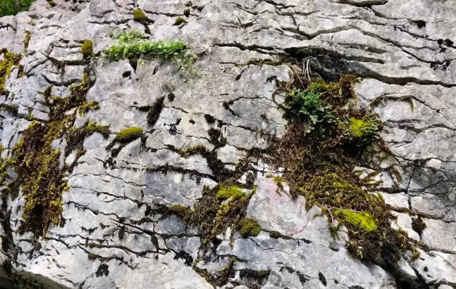 blanka kufner - učka - &scaron;etnja