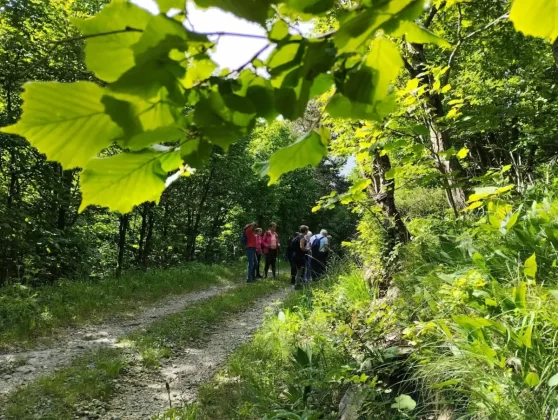 blanka kufner - učka - &scaron;etnja