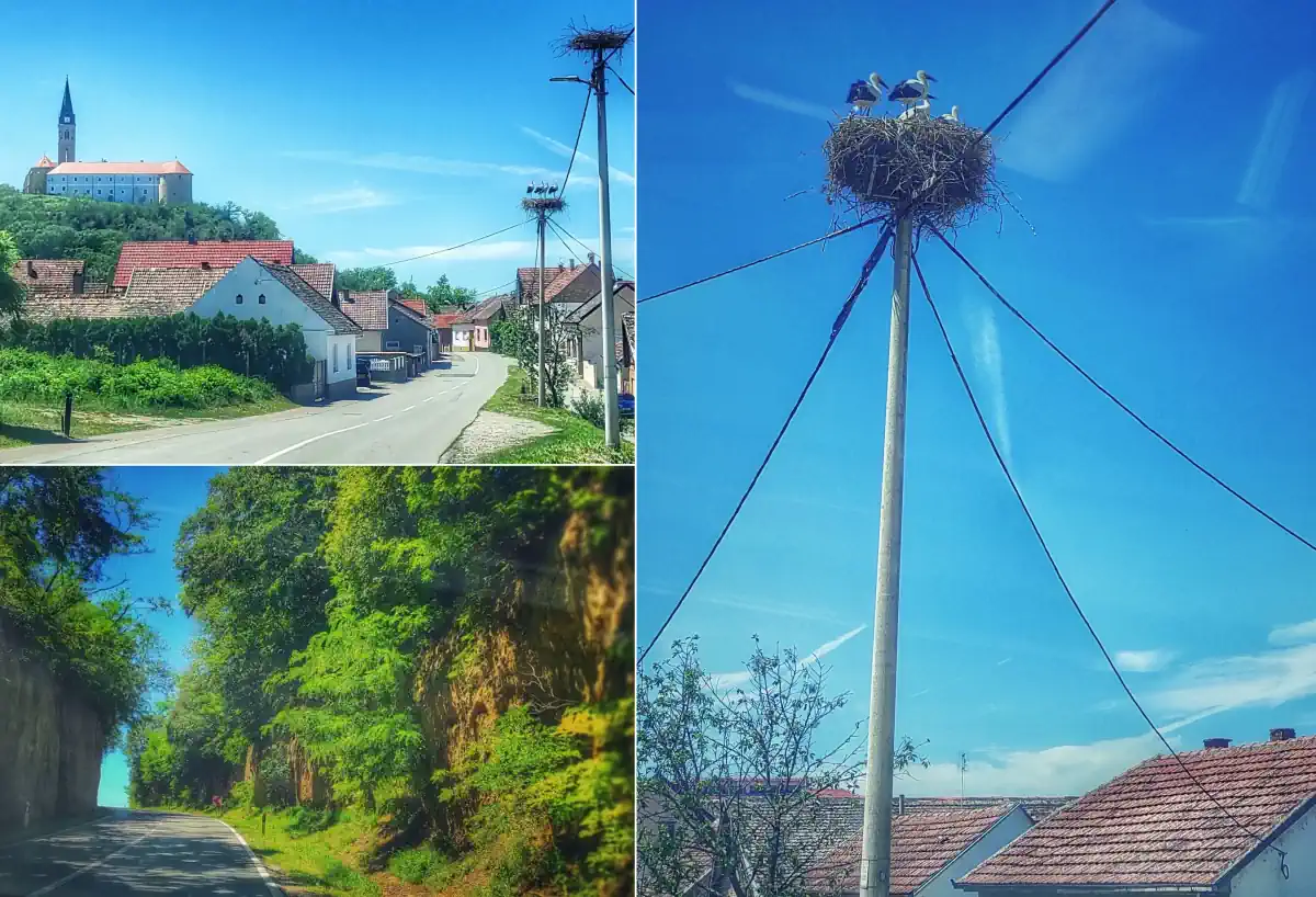 iločka crkva i surduk
