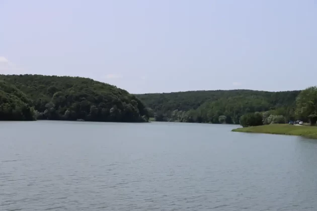 borovik đakovo plaže