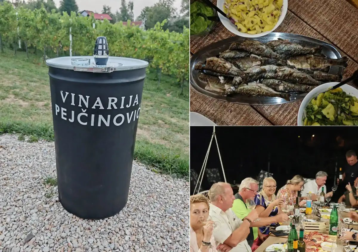 vinarija pejčinović
