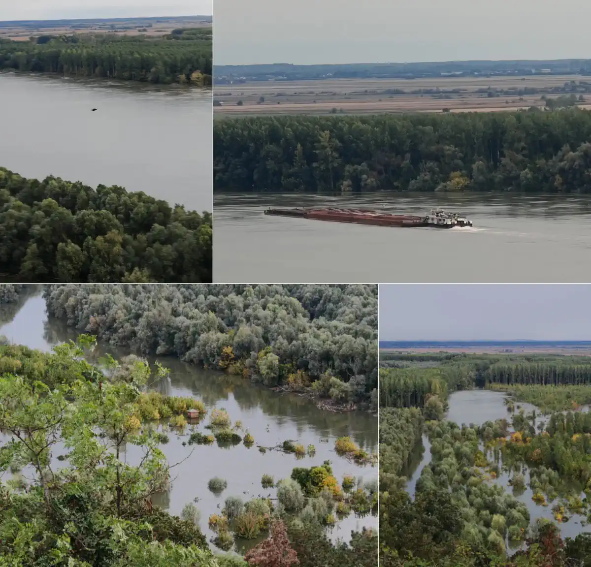 podunavlje