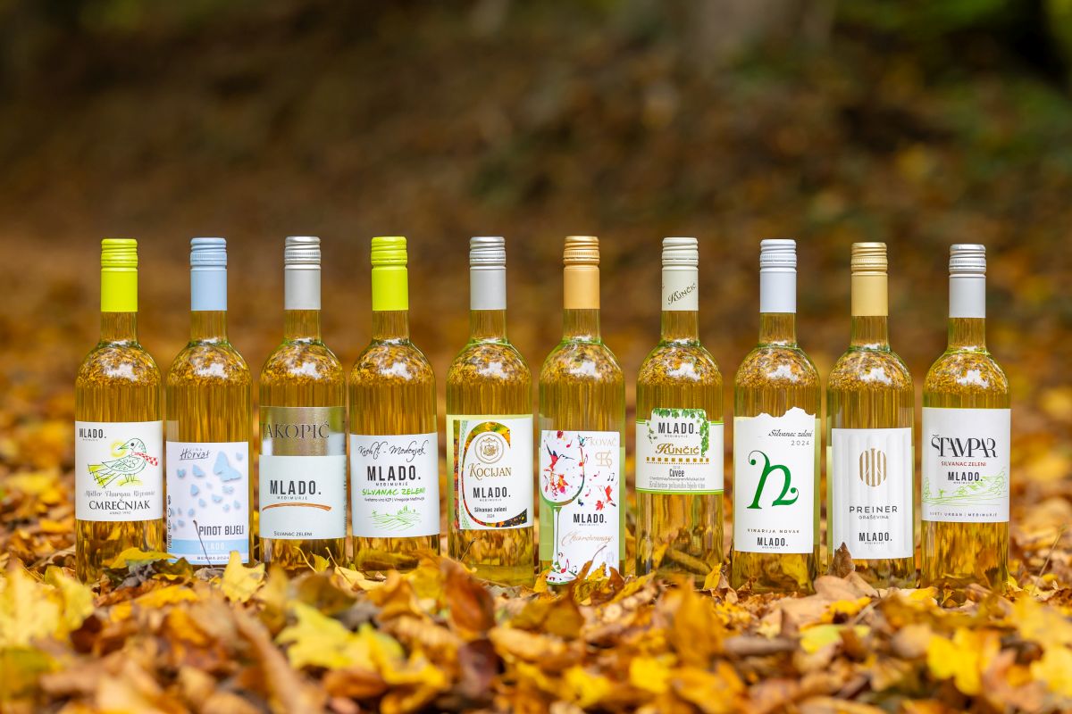 Martinje Štrigova 2024.