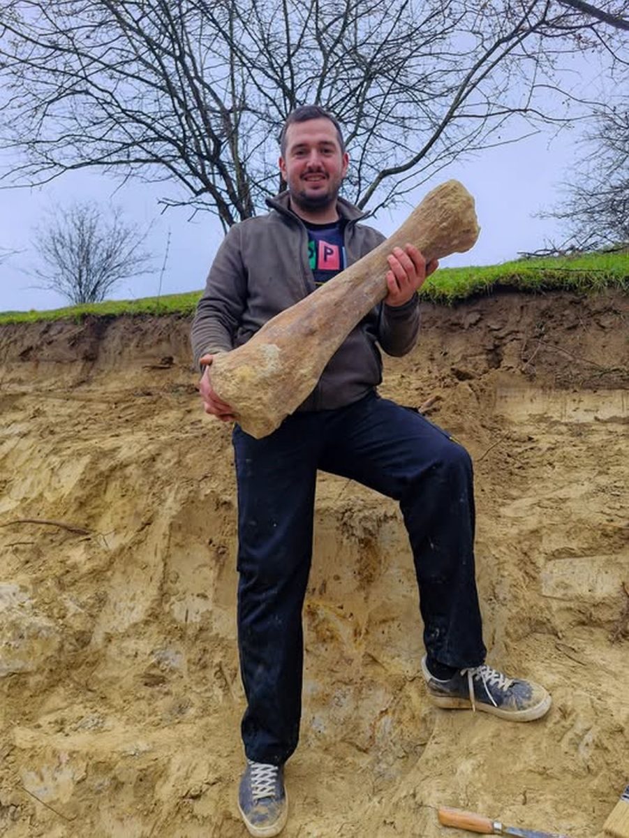 Dolina mamuta Mohovo, kost dinosaura Goran Popović