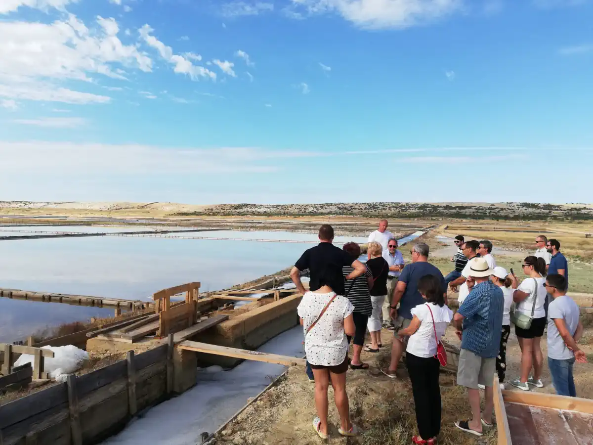 jutra u poljima soli