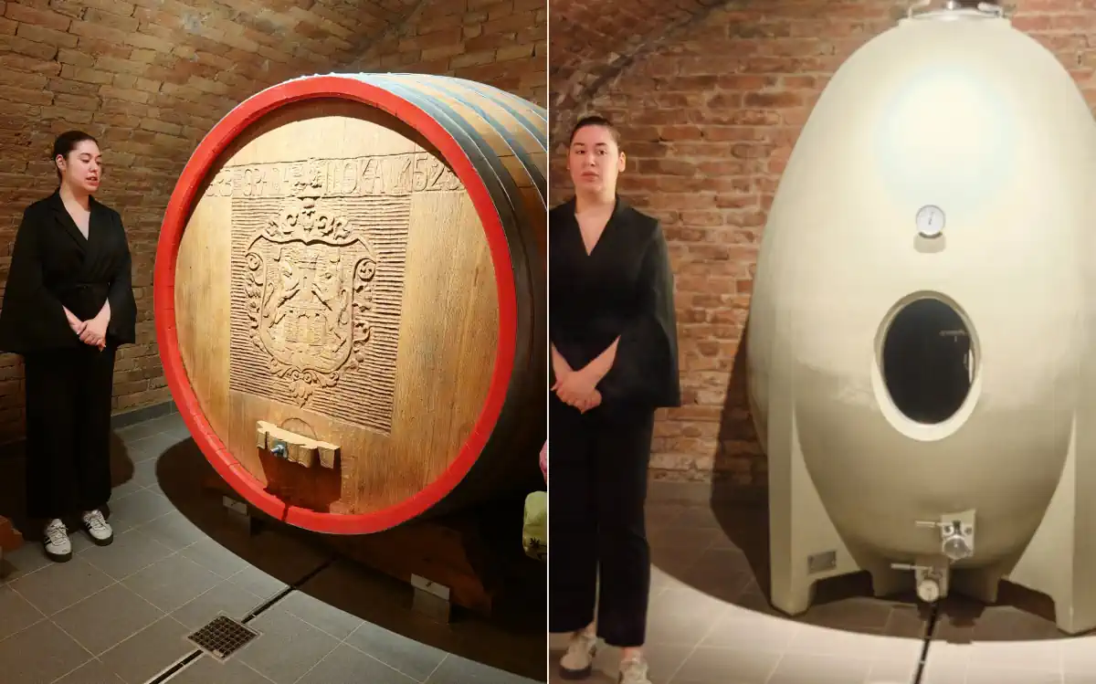 Ilok Walk & Wine 2025