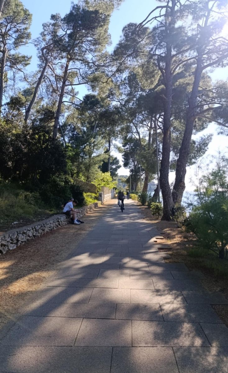šetnica, Lošinj, borovi, sjene, bicikl