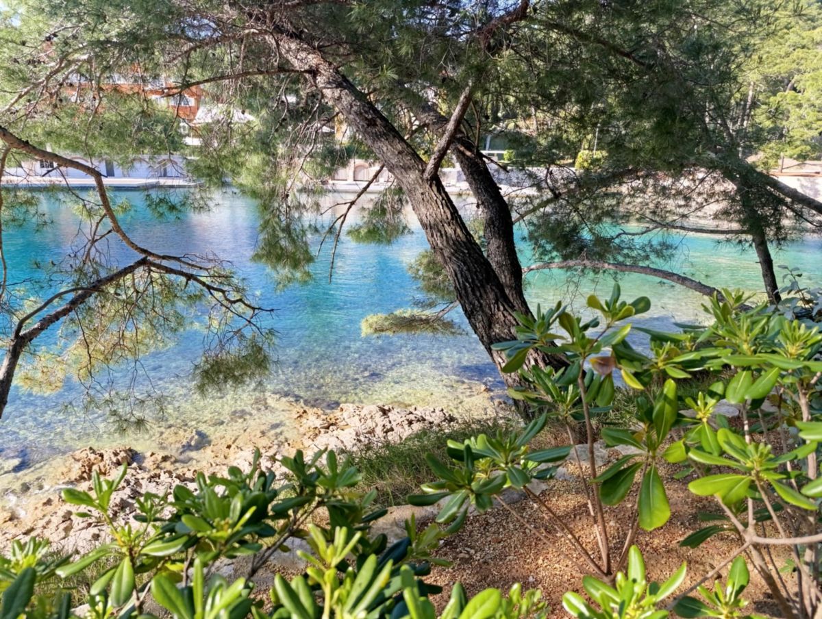 uvala, more, tirkiz, Lošinj, mediteransko bilje