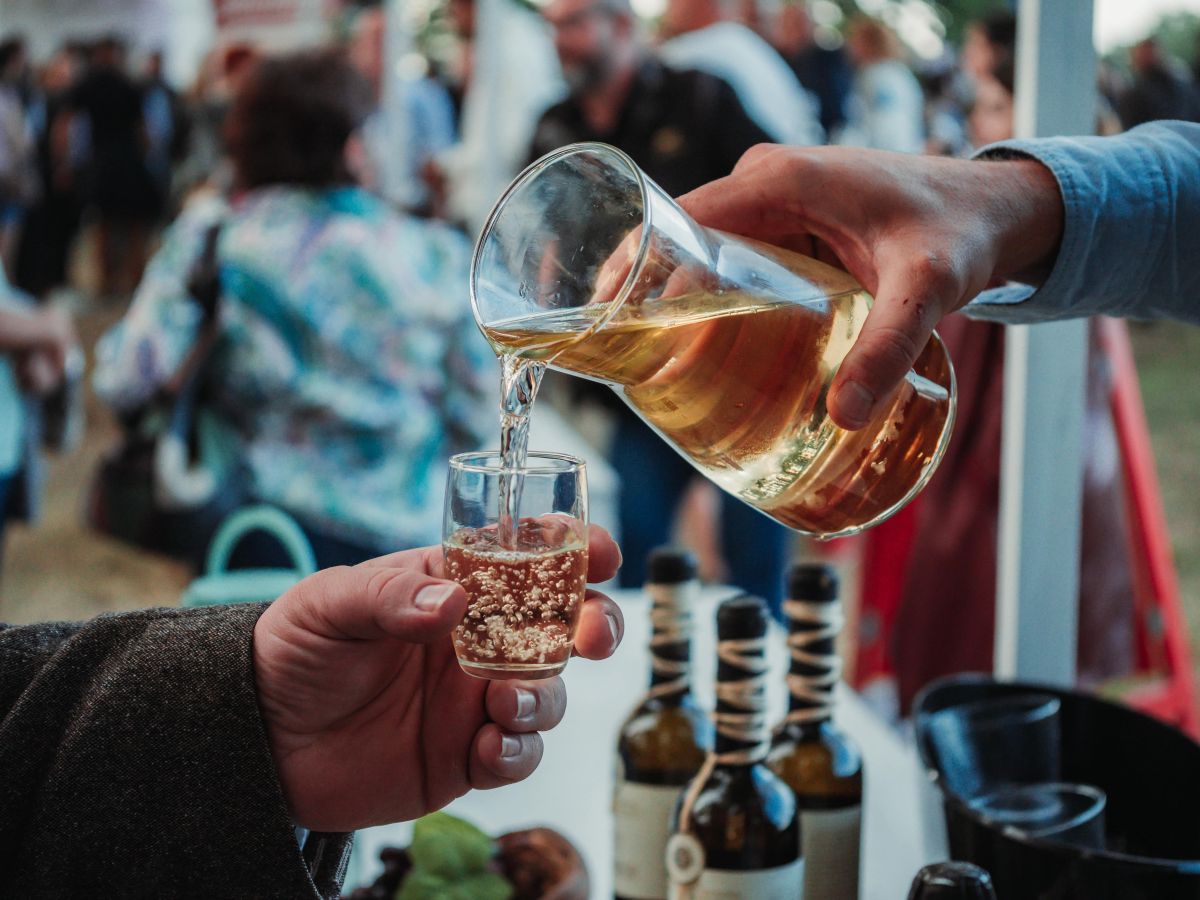 Vino i tambure Baranja