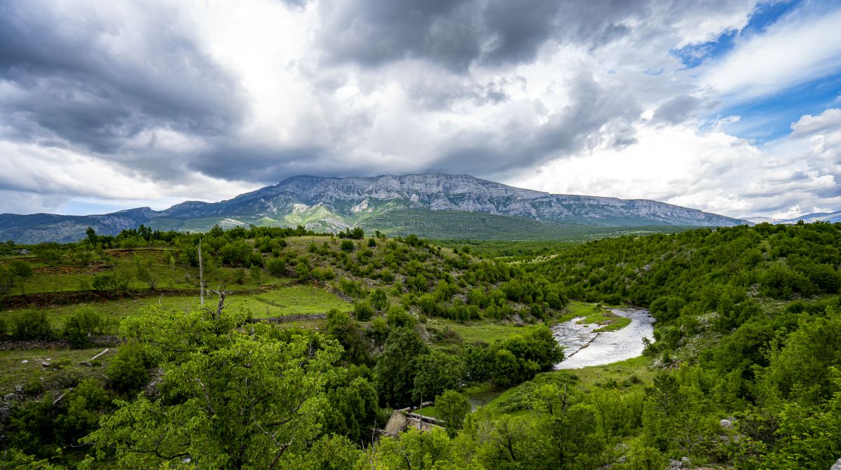 Dinara, Knin