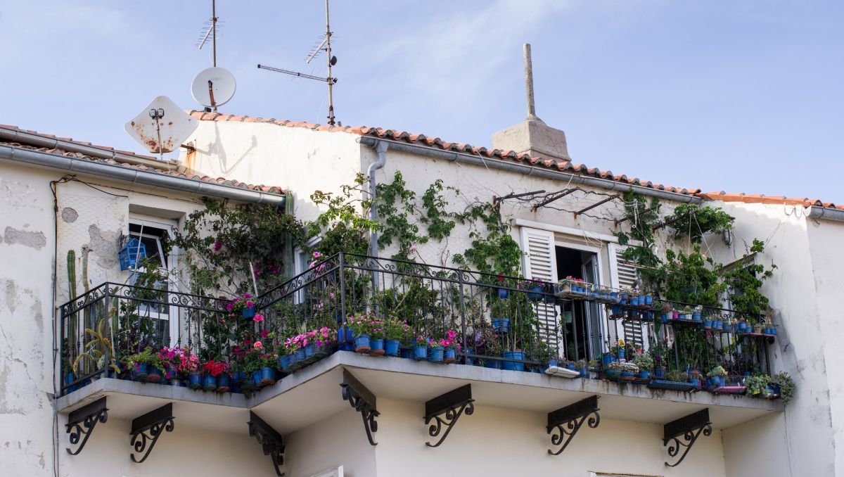 Rab, balkon, cvijeće