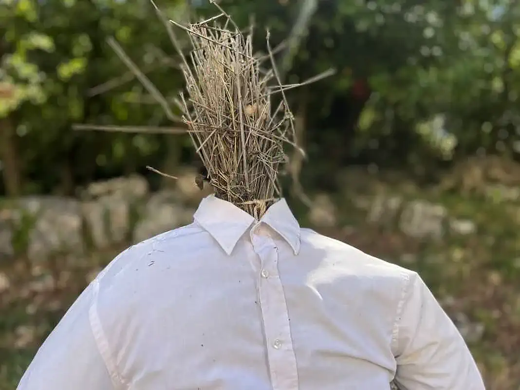 strašilo
