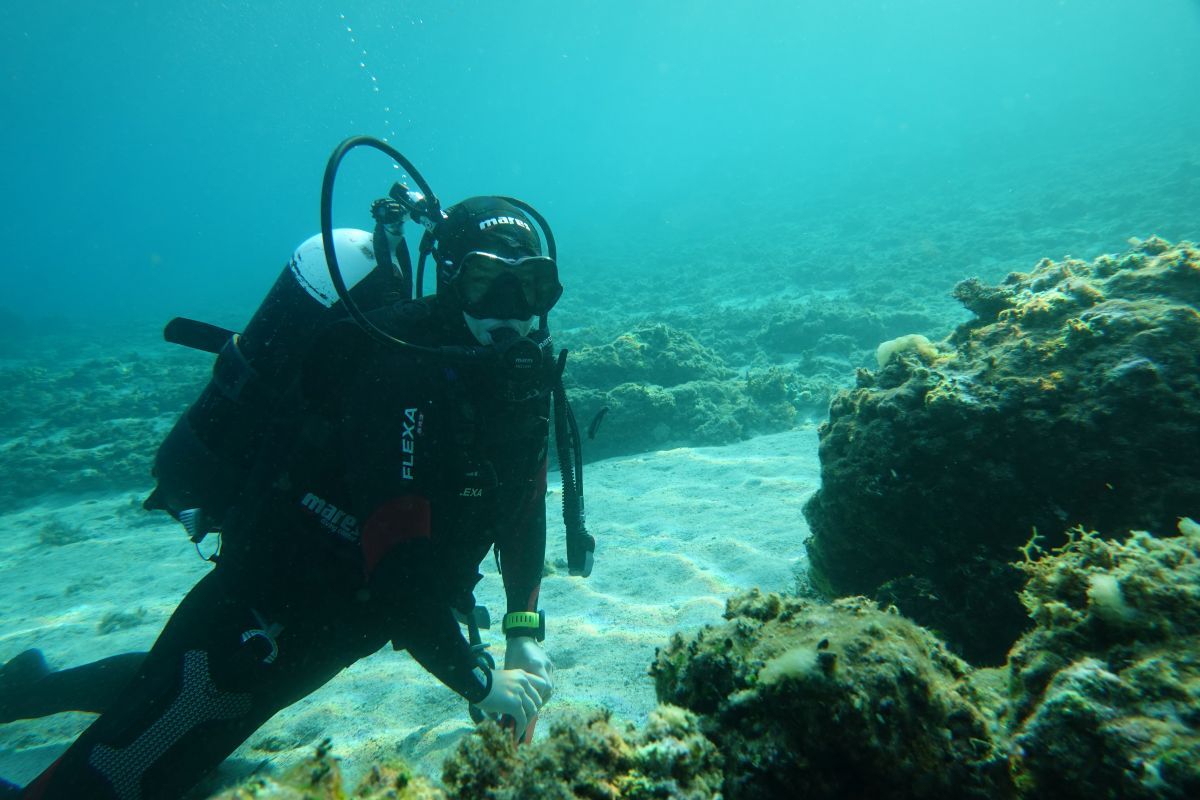 ReefQuest na Ižu: Sustavno istraživanje i zaštita koralja