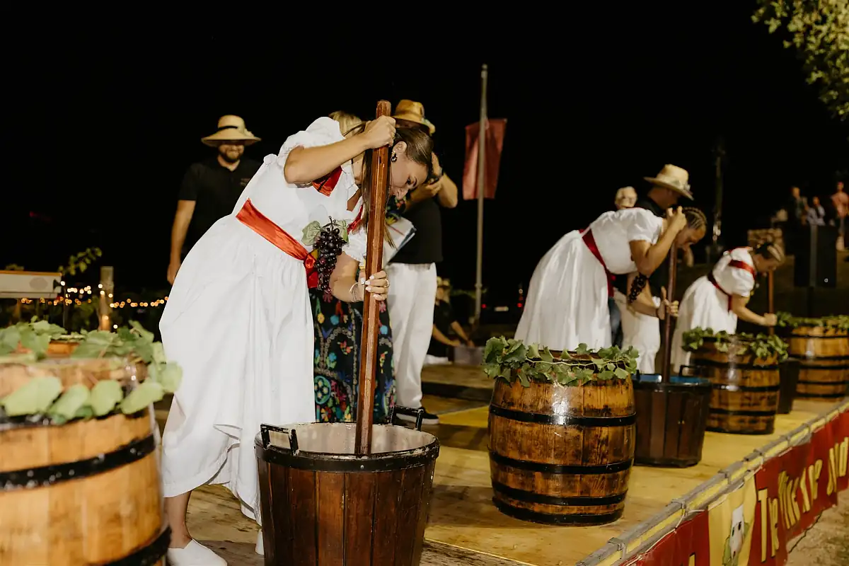 ružica vinodola u novom vinodolskom