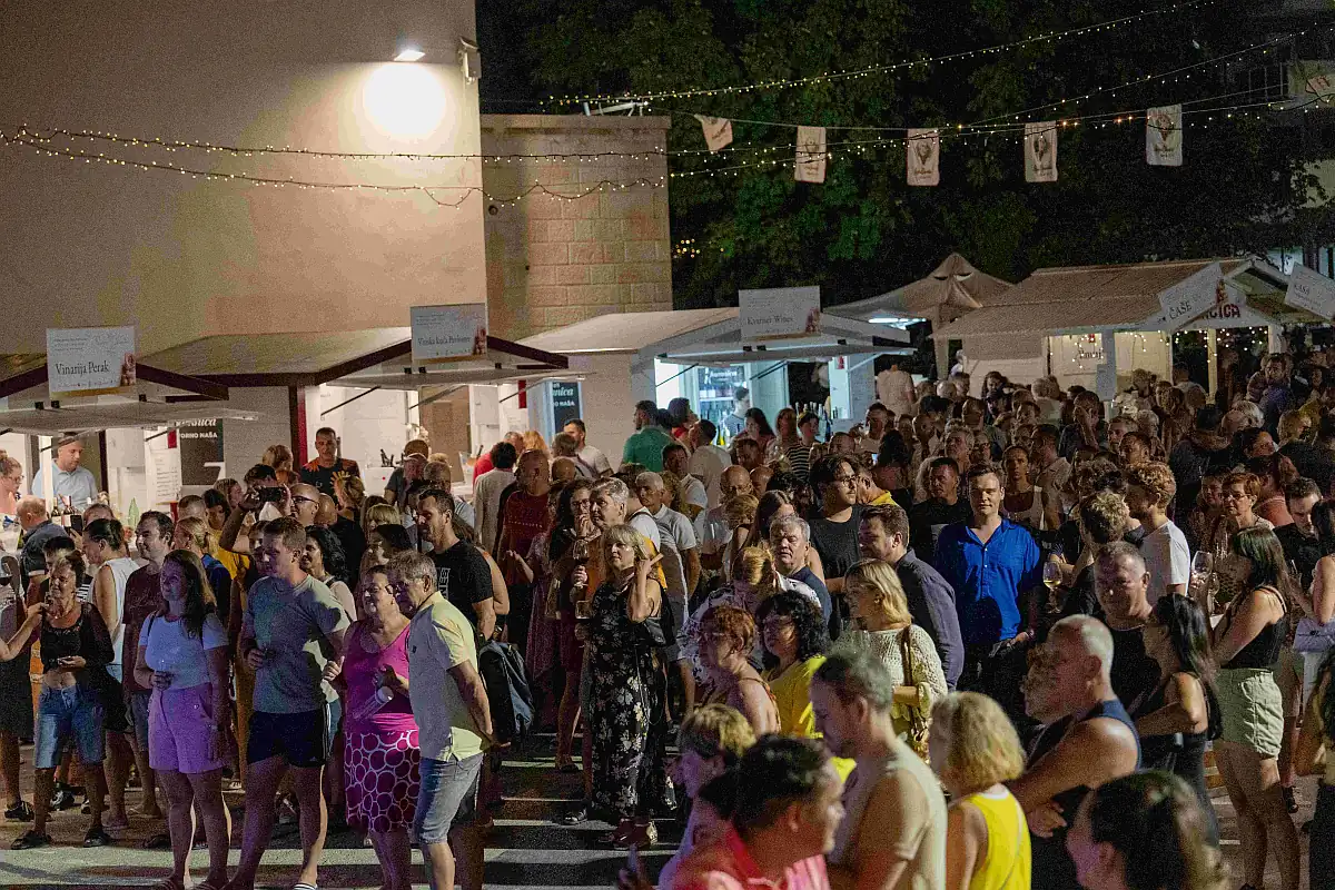 ružica vinodola u novom vinodolskom