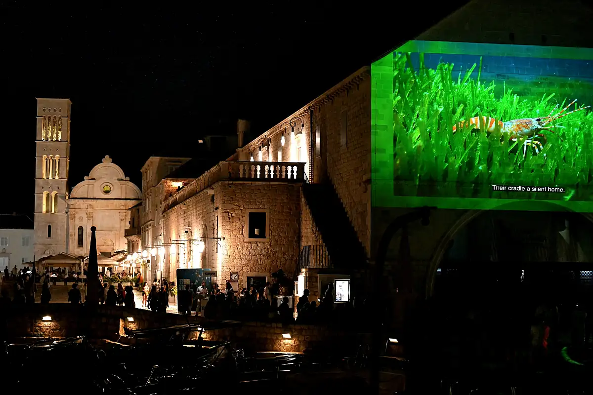hvar audiovizualna projekcija